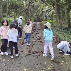 25.10.18. 금성산에서 살아남기: 숲 속에 숨겨진 보물을 ..