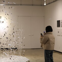 25.12.23. [자연의 영토] 지역전시 활성화 사업