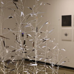 25.12.23. [자연의 영토] 지역전시 활성화 사업