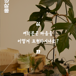썸넬