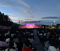 야간에 야외 광장을 가득 메운 수많은 관객이 화려한 조명이 켜진 대형 무대 공연을 관람하고 있는 모습