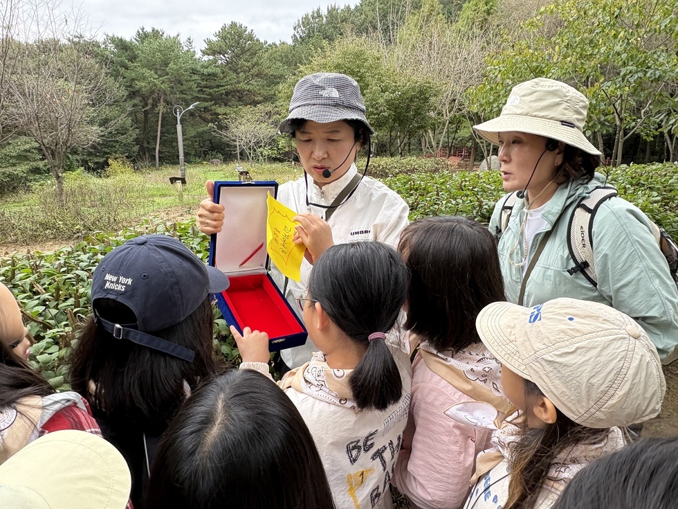 금성산에서살아남기1회차9